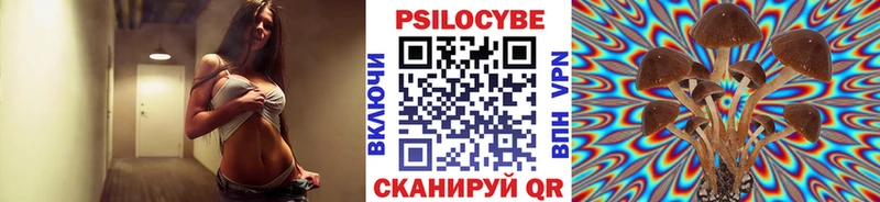 Галлюциногенные грибы GOLDEN TEACHER  Купить где  Судак 